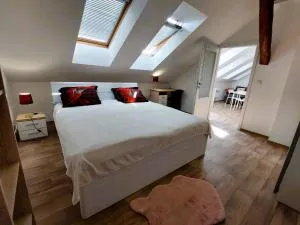 Byt Komenskeho #2# v historickém centru Hradec Králově - 赫拉德茨 - 克拉洛韦