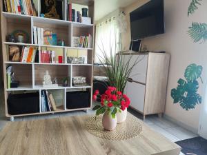 Appartements Studio Goya et jardin 2 nuits minimum : photos des chambres