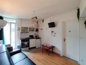 Appartements Appartement T3 N4 Appartement Hotel Combes : photos des chambres