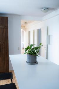 Villa Nurmenhelmi järven rannalla