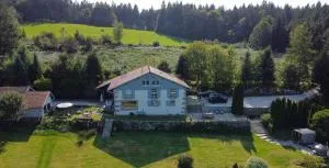 Villa d'exception LA BELLE DES VOSGES 4 étoiles, bain nordique, sauna, billard etc - 特恩顿