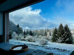 Villa dexception LA BELLE DES VOSGES 4 étoiles, bain nordique, sauna, billard etc