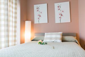 Estudios Sierra De Francia