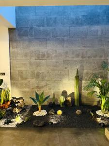 Garden House, Playa Honda