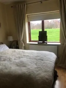 Druids Glen Spacious private double room with en-suite - Leabeg