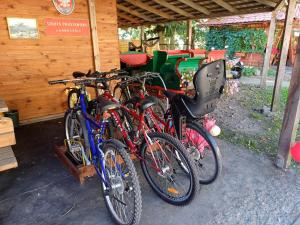 Gospodarstwo Agroturystyczne Dworek Andrzejówka