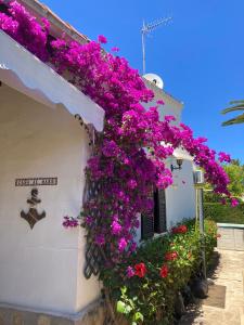 Casa con Jardin Denia Al Mare