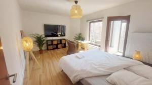 Appartements Entiers - Centre de Tournai