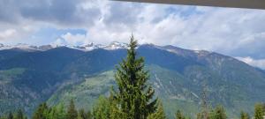 Appartamento Pian dei Mughi Marilleva 1400