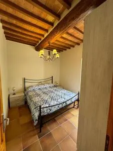 Il Tinaio di Mary - Spineta