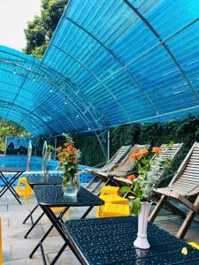 Ninh Binh Friendly Homestay