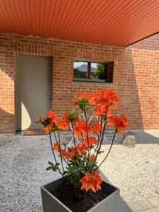 Maisons de vacances Gite charmant independant : photos des chambres