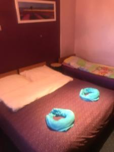 Forum noclegi kwatery pracownicze