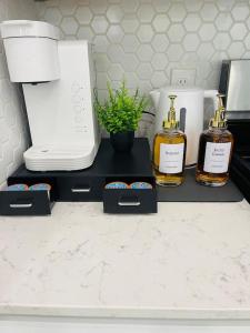 Luxurious Hidden Gem - Downtown Access - Balcony