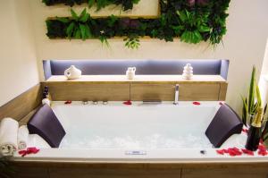 Appartements L-atelier vert - Balneo - Luxe - Proche Hypercentre - Classe 4 etoiles : Appartement 1 Chambre avec Baignoire Spa