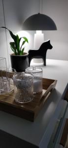 Room The Northern Oasis