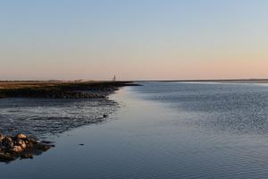 Appartement Cappel Whg 16