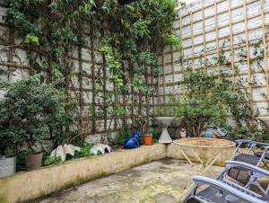 Traditional Georgian Apartment in Central London