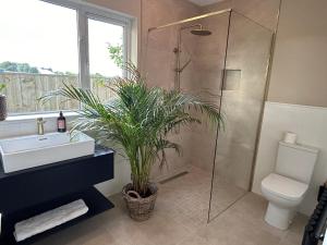 The Lodge, Monkstown