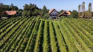 SCHILCHERLANDLEBEN - Weingartenhaus