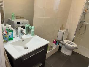 Appartement T2 climatisé garage