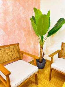 2 Bedroom Summer Themed Unit at Azure