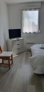 Appartements l oiseau bleu : photos des chambres