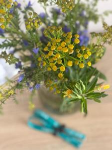 Gold holiday Apartments - Mano jūra 2