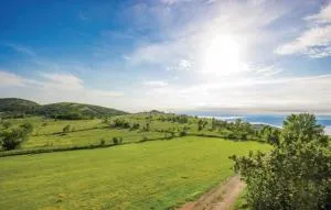 Villa Mila - Biljevine