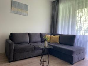 Gold holiday Apartments - "Forest Secrets" Mano jūra 2