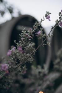 El Cubil en Potrero Chico