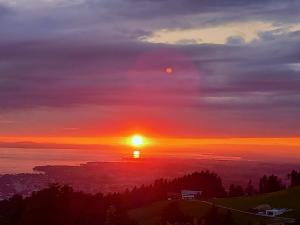 Ferienwohnung Heidegger