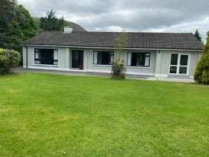 The Orchid - Laune Bridge