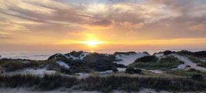Campings Mobil-home camping la Dune Blanche : photos des chambres