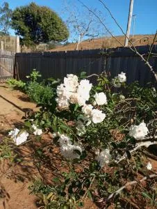 Casa da roça. - Silveiras