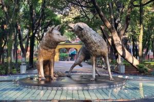 Viñedito del coyote, Coyoacán