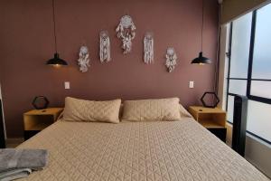 Viñedito del coyote, Coyoacán