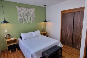 Viñedito del coyote, Coyoacán