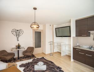 Appartements Voltaire Elephant Suite - 5 min Hypercentre - Parking Prive : photos des chambres
