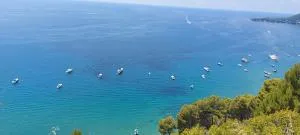 Tenuta Belvedere Cilento - Montecorice