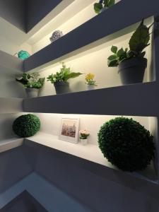 Rea Silvia intero appartamento indipendente