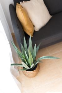 Charming apartment with sea view