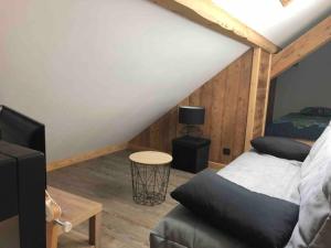 Appartements Appartement Des 2 Vallees,proche de tous commerces : photos des chambres