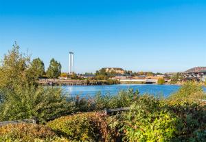 Bluebird Day - Smokestack River House