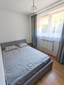 Apartament Jabłko-Mięta w Tymbarku