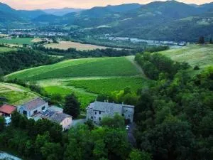 Tenuta Folesano Wine Estate 13th century - Lama