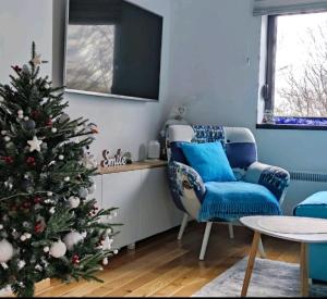 PLAVA ZVEZDA ZLATIBOR apartman u kompleksu Titova vila Zlatibor