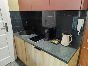 Studio apartament WINYLOWY