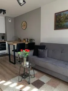 Diasfera fancy Apartment of city center Łódź - 罗兹省康斯坦丁努夫