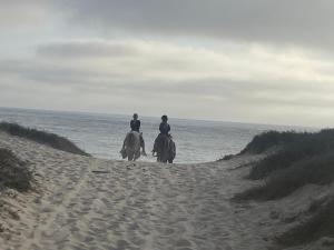 Baja Tranquilo - Villas Cerritos